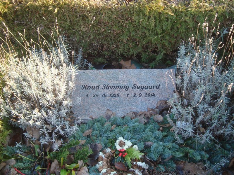 Knud Henning Soegaard.JPG